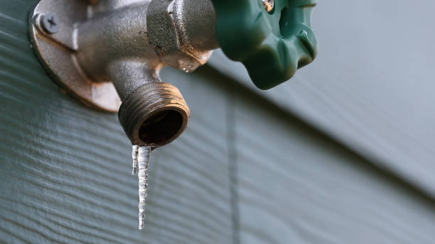 Best Clogged Drain Plumber  in Walker Valley, NY